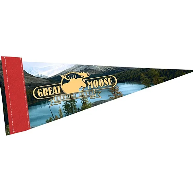 Premium Pennant 4 inches x 10 inches