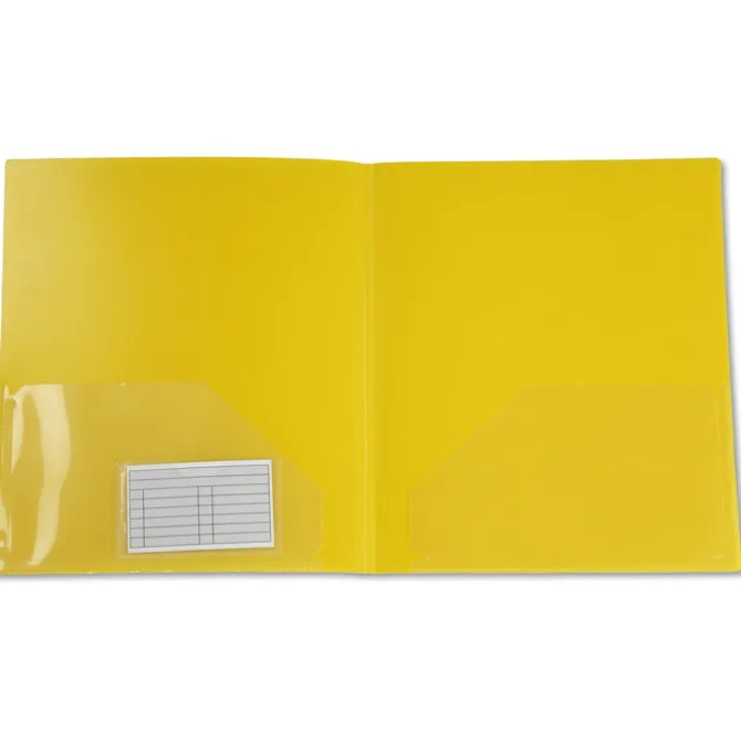 Professional Presentation Folder - Translucent
