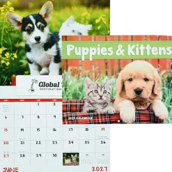 Puppies & Kittens Appointment Calendar - Window