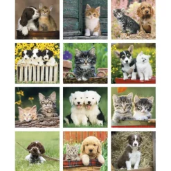 Puppies & Kittens Calendar - Mini