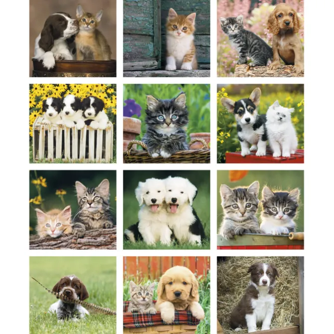 Puppies & Kittens Calendar - Mini