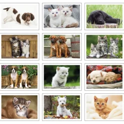 Puppies & Kittens Calendar - Pocket