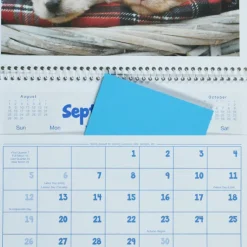 Puppies & Kittens Calendar - Pocket