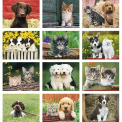 Puppies & Kittens Calendar - Spiral