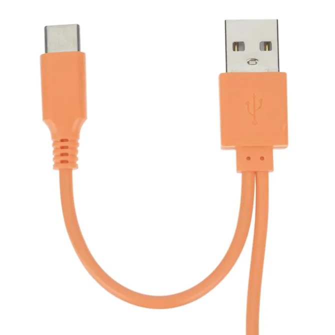 Riley Charging Cable