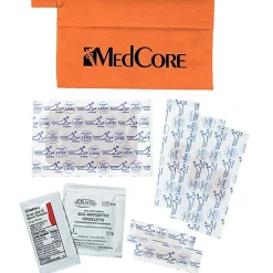Safekeeping Quick Care Kit
