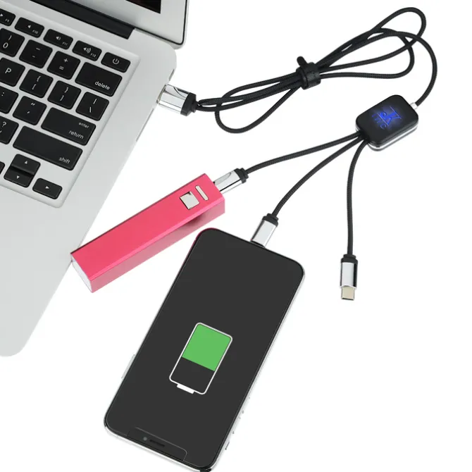 SCX Zander Light-Up Logo Charging Cable