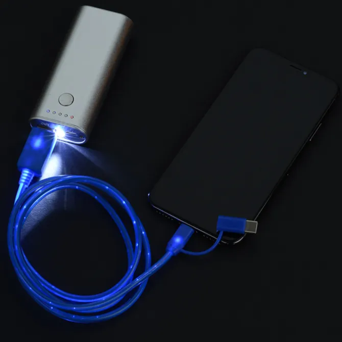 Shine Light-Up Duo Charging Cable