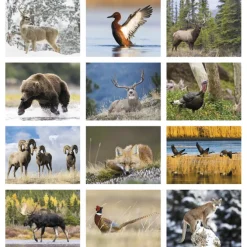 Sportsman Wildlife Wall Calendar