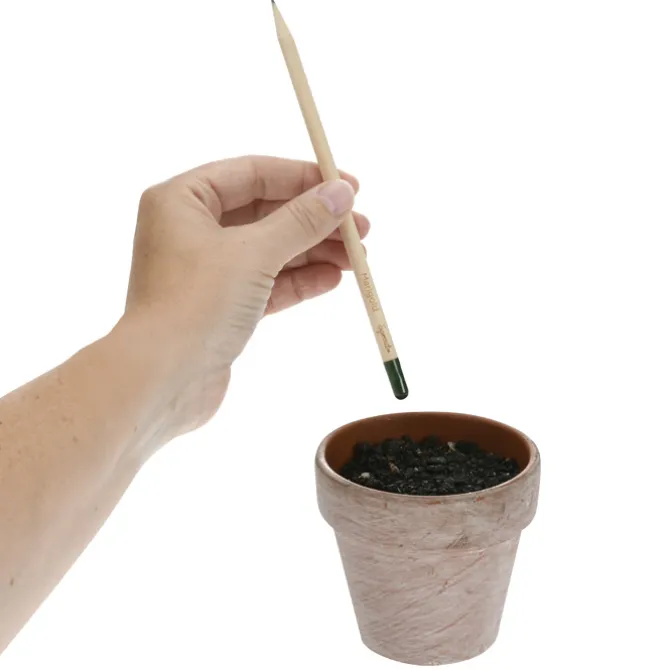 SproutWorld Pencil - 24 hr