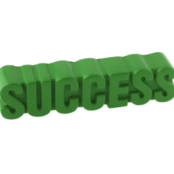 Success Word Stress Reliever - 24 hr
