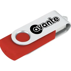Swing USB Drive - 8 GB - 3 Day