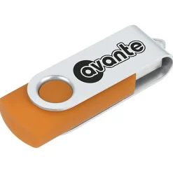 Swing USB Drive - 8 GB - 24 hr