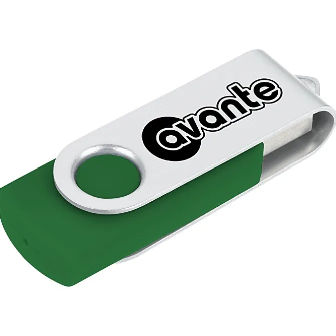 Swing USB Drive - 8 GB - 24 hr
