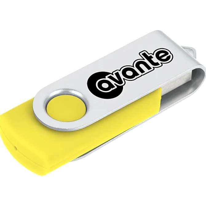 Swing USB Drive - 4 GB - 24 hr