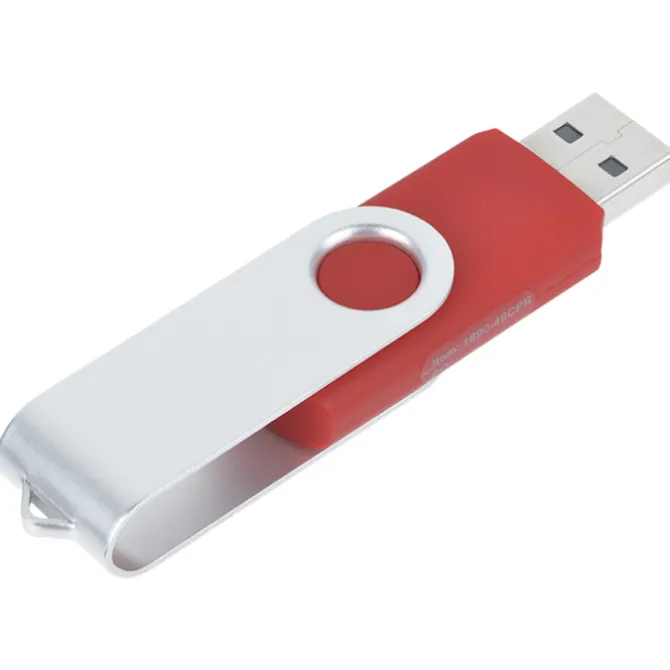 Swing USB Drive - 4 GB - 24 hr