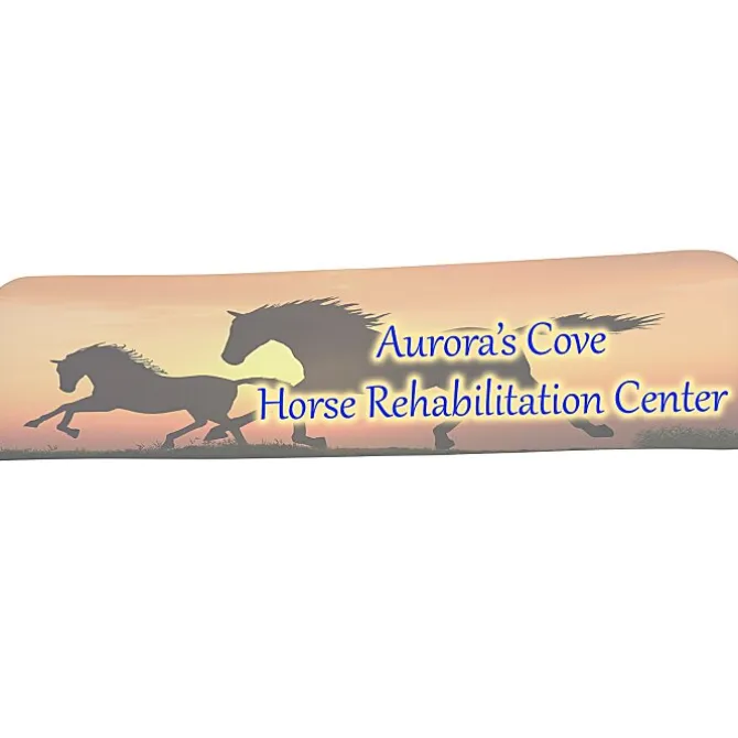 Tabletop Banner System - 6' - Replacement Graphic