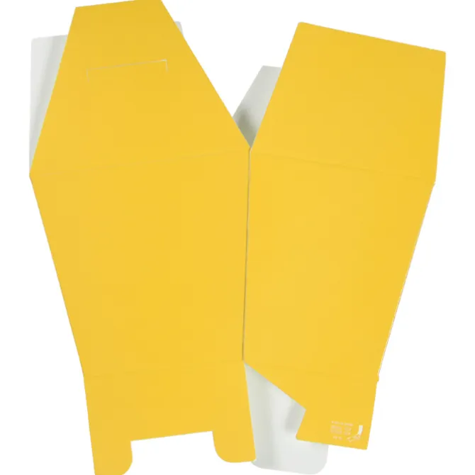 Take Out Style Box - Large