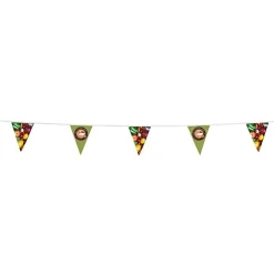 30' Triangle Pennant String - 12 inches x 9 inches - 16 Pennants - One Sided - Alternating