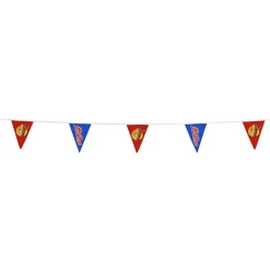 20' Triangle Pennant String - 12 inches x 9 inches - 11 Pennants - One Sided - Alternating