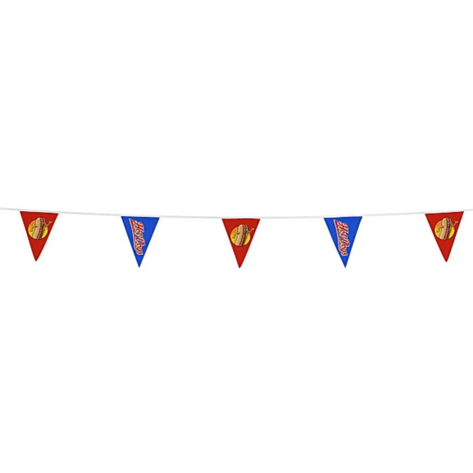 20' Triangle Pennant String - 12 inches x 9 inches - 11 Pennants - One Sided - Alternating