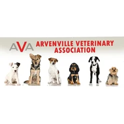 Value Indoor Banner - 4' x 10' - 24 hr