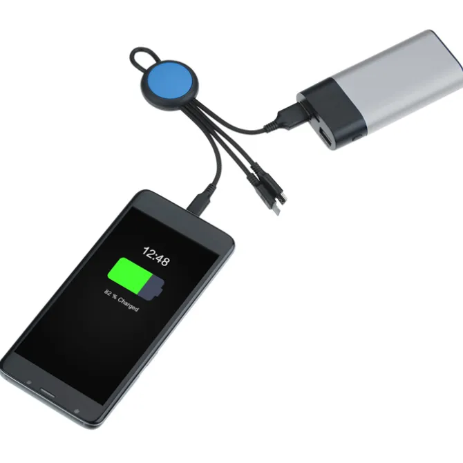 Vivid Loop Charging Cable
