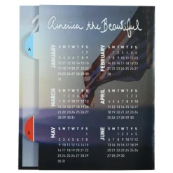 Wave Calendar - Patriotic