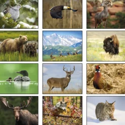 Wildlife Calendar - Stapled