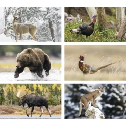 Wildlife Calendar with 2-Month View