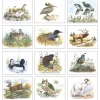 Wildlife Trek Calendar - Spiral