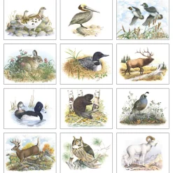 Wildlife Trek Calendar - Spiral