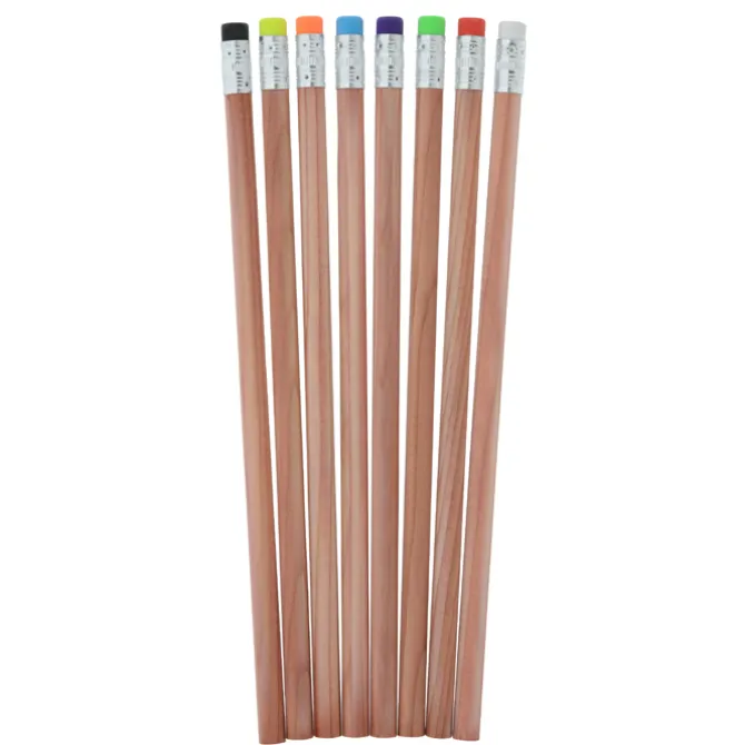 Zen Pencil - 24 hr